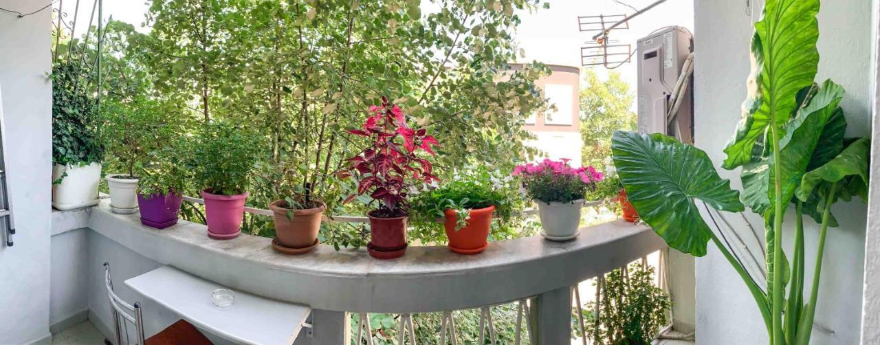 Korca Central Flat 외부 사진